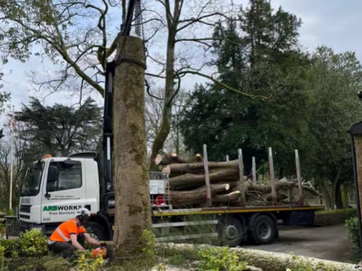 tree removal rochdale